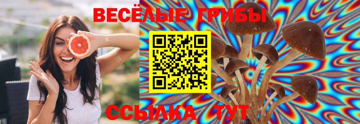 Псилоцибиновые грибы Magic Shrooms  Галлюциногенные грибы Psilocybe  Вход с VPN  Сафоново 